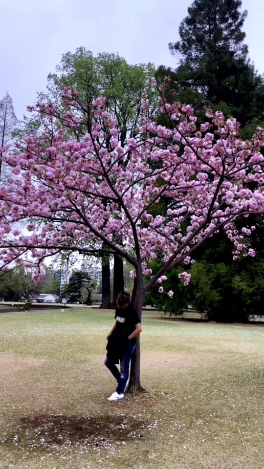 TikTok video thumbnail by amirmoktan497