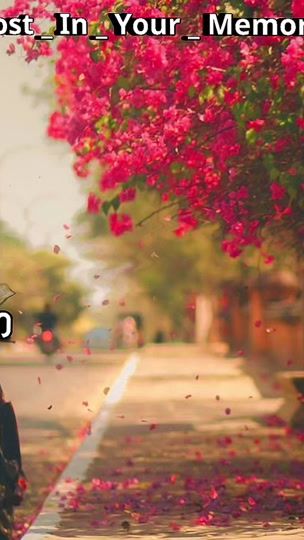 TikTok video thumbnail by lostinyourmemory2
