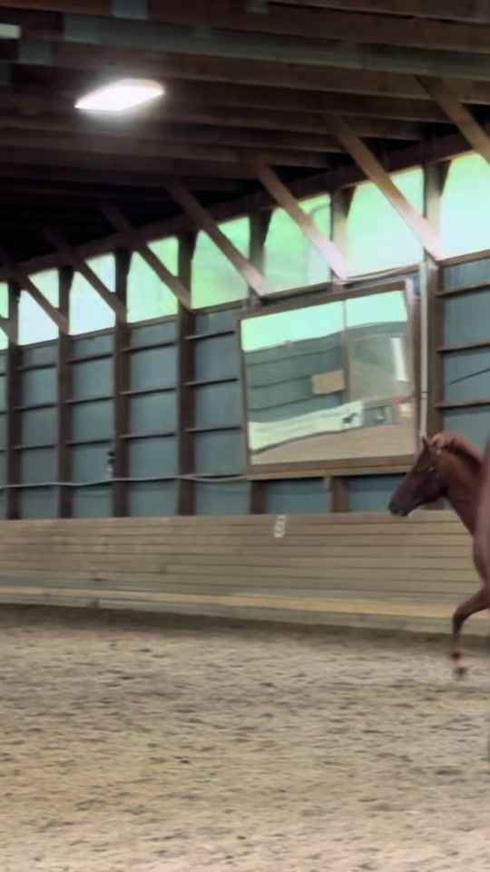 TikTok video thumbnail by curious_george_eq