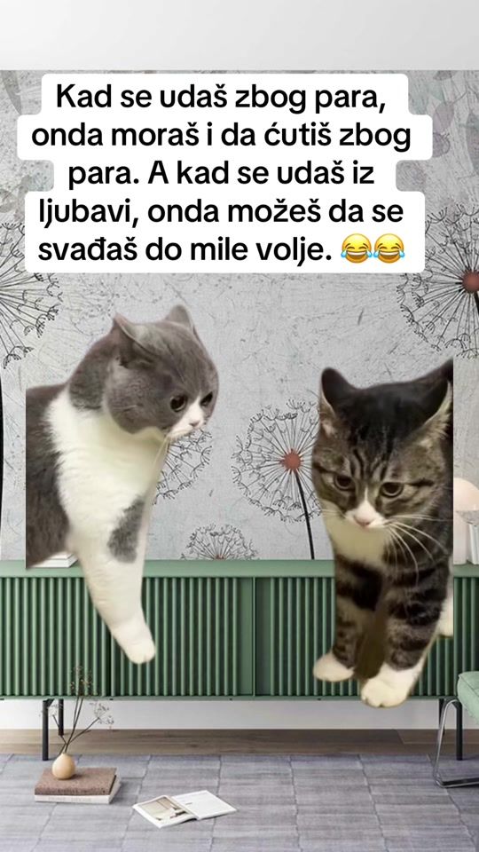 TikTok video thumbnail by ana_mancic_95