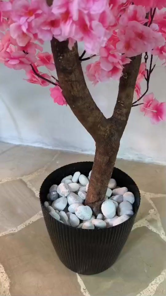 TikTok video thumbnail by ssdecorate