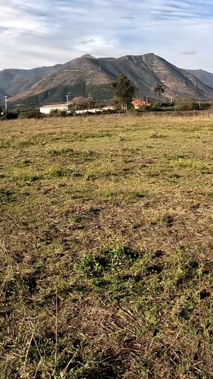 TikTok video thumbnail by andrestapia27