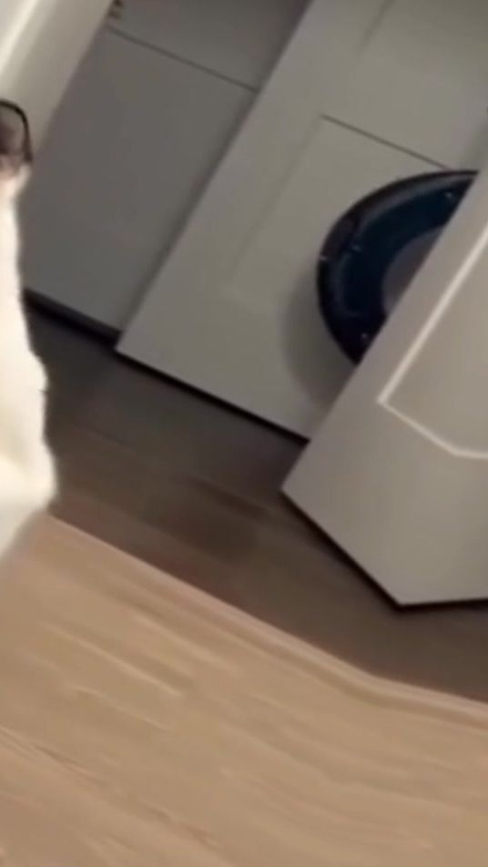 TikTok video thumbnail by kartoonaa