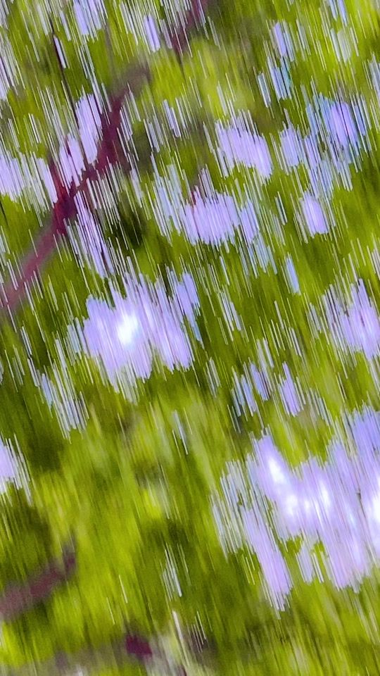 TikTok video thumbnail by kashishpyari