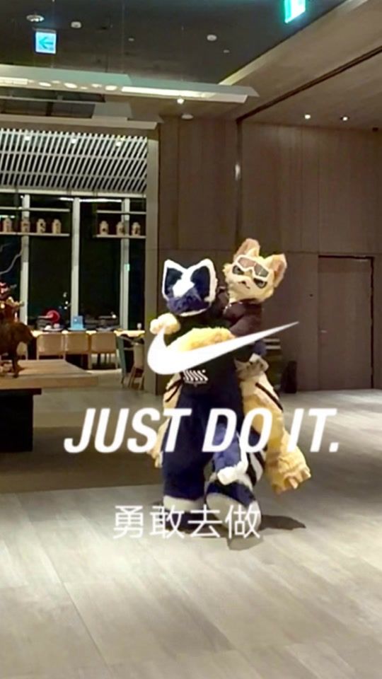 TikTok video thumbnail by furryfox_yo