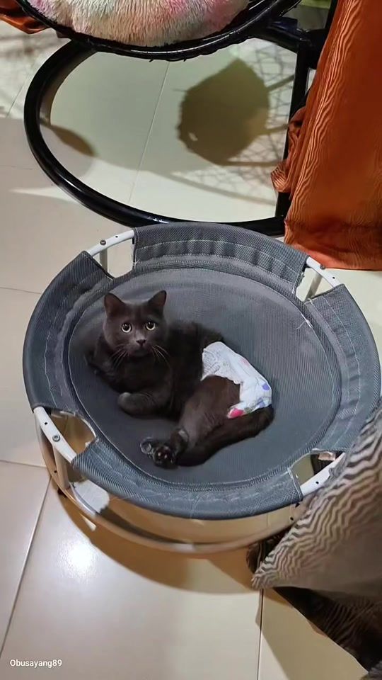 TikTok video thumbnail by obusayang89
