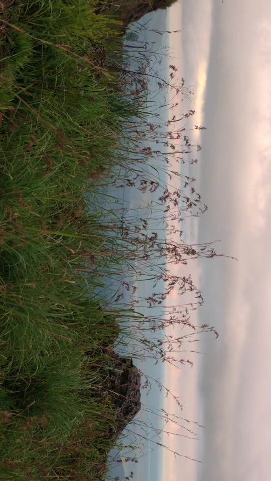 TikTok video thumbnail by __bhathi__
