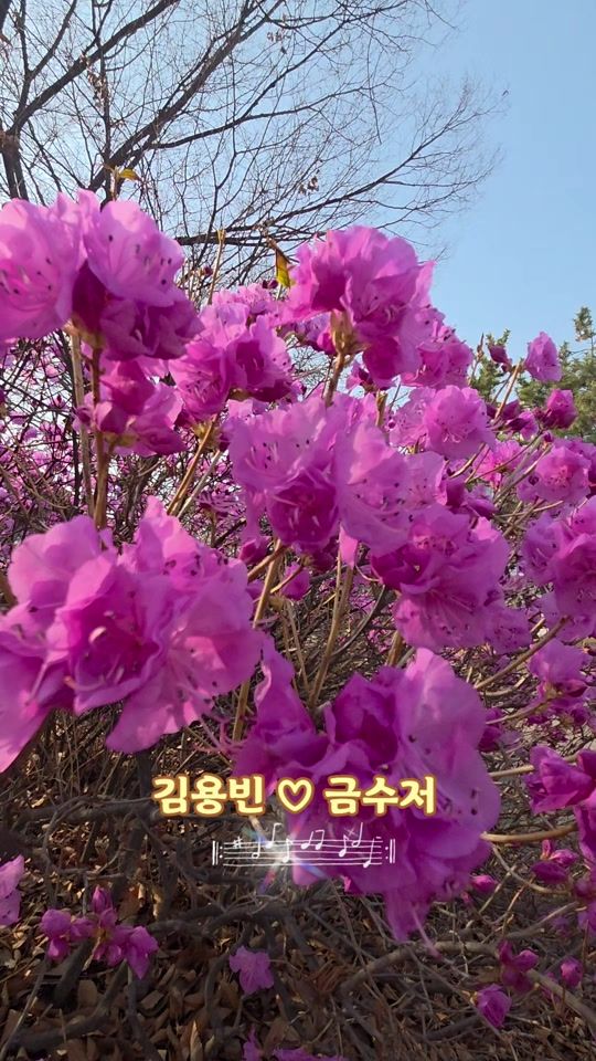 TikTok video thumbnail by user52459447466172