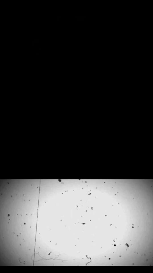 TikTok video thumbnail by conoce_cocha