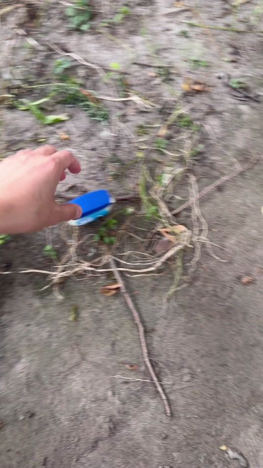 TikTok video thumbnail by giftgenius