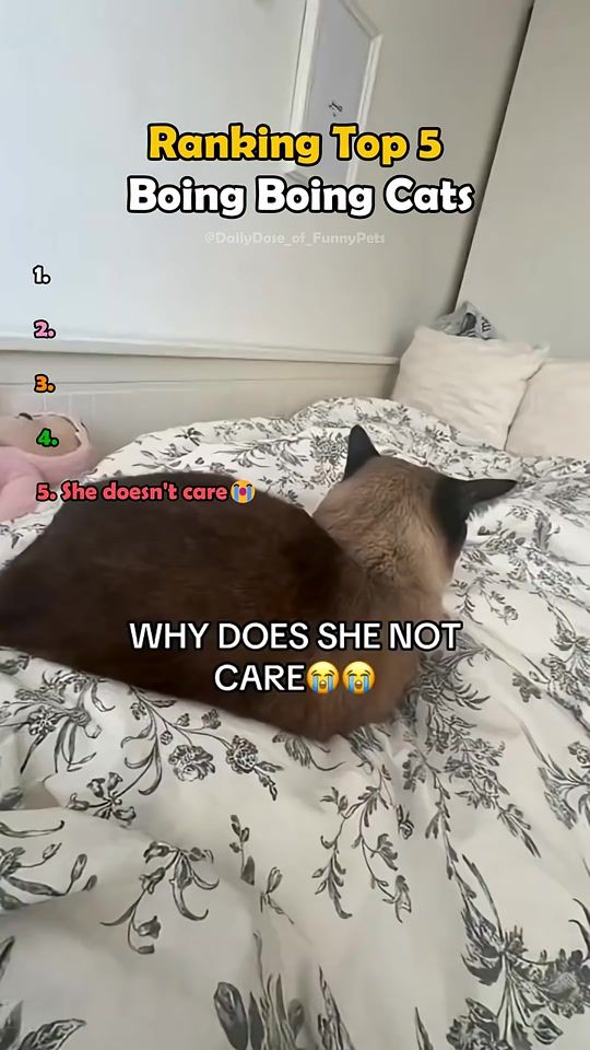 TikTok video thumbnail by mariel_ryo