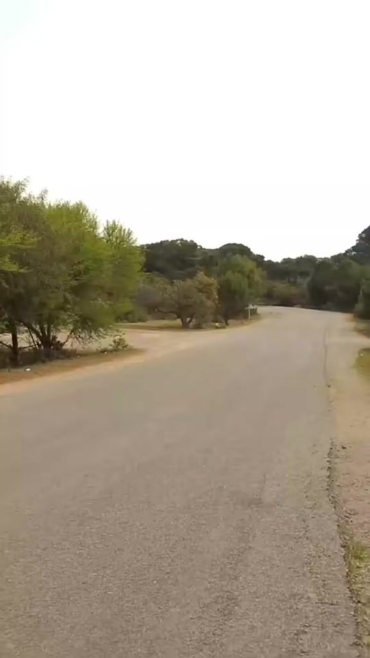 TikTok video thumbnail by slama.nesrin