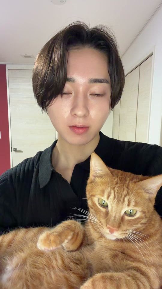 TikTok video thumbnail by y24ha