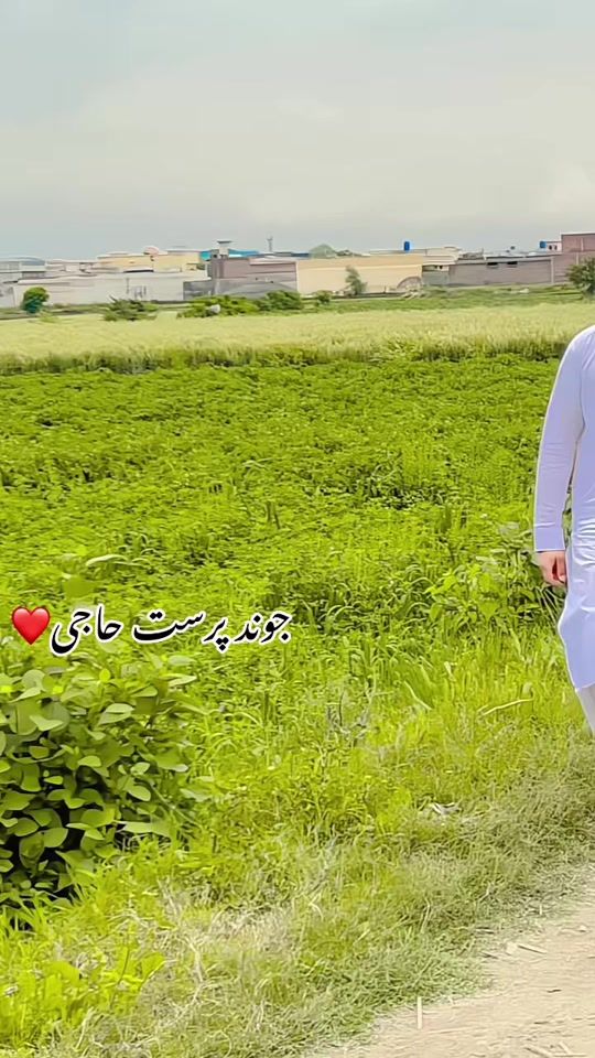 TikTok video thumbnail by zafrgulli7