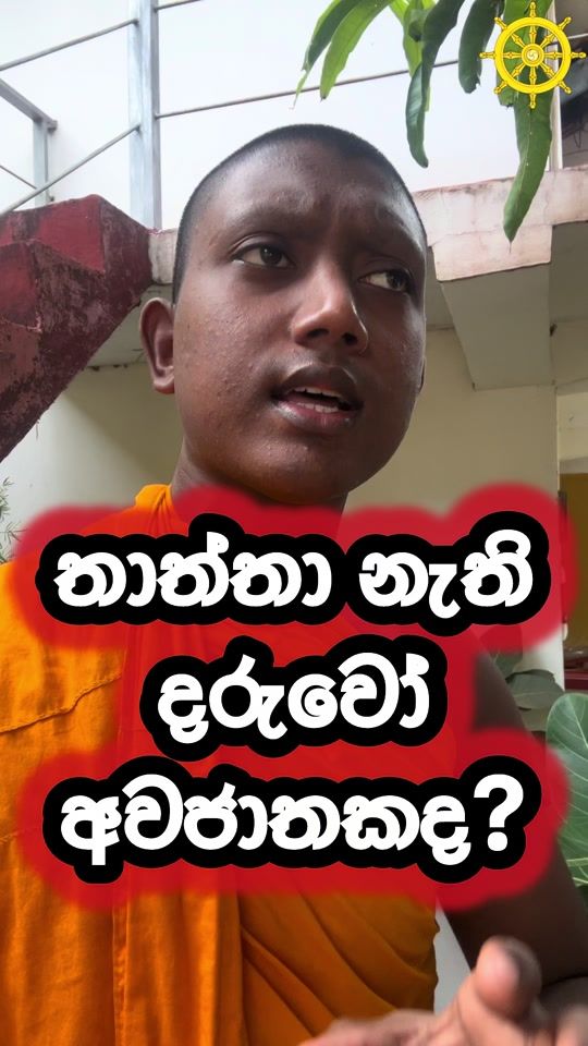 TikTok video thumbnail by anushan_2
