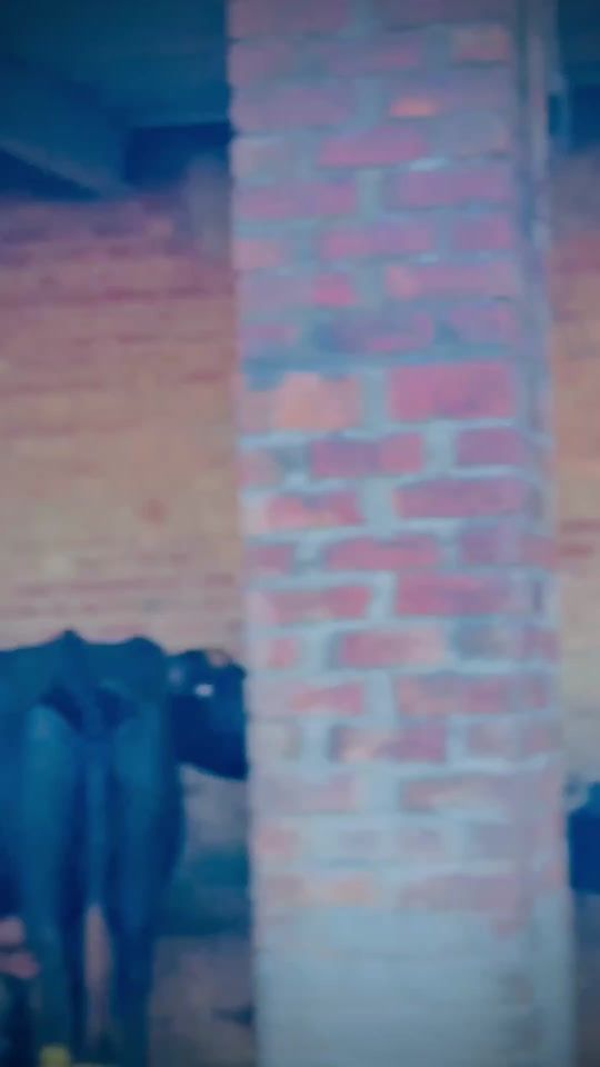 TikTok video thumbnail by umarwarraich303