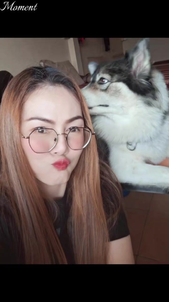 TikTok video thumbnail by loveseasons9