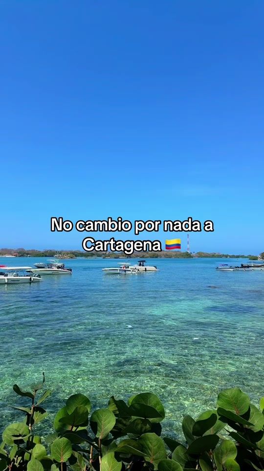 TikTok video thumbnail by daniel.burgos24