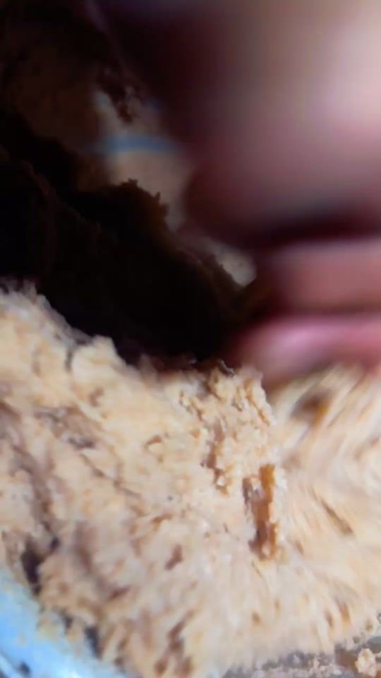 TikTok video thumbnail by 22wollf
