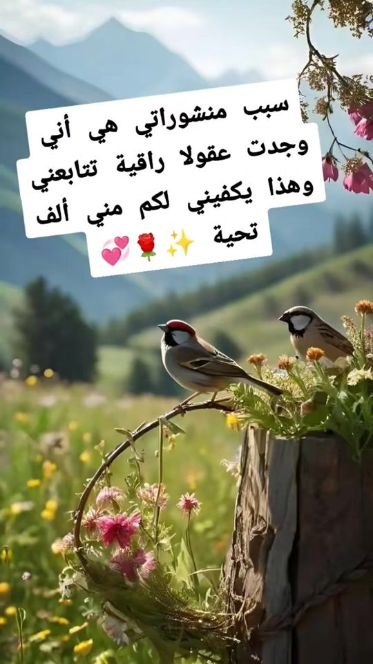 TikTok video thumbnail by bejauia06