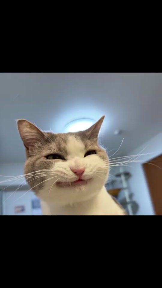 TikTok video thumbnail by wilmarigarcia28