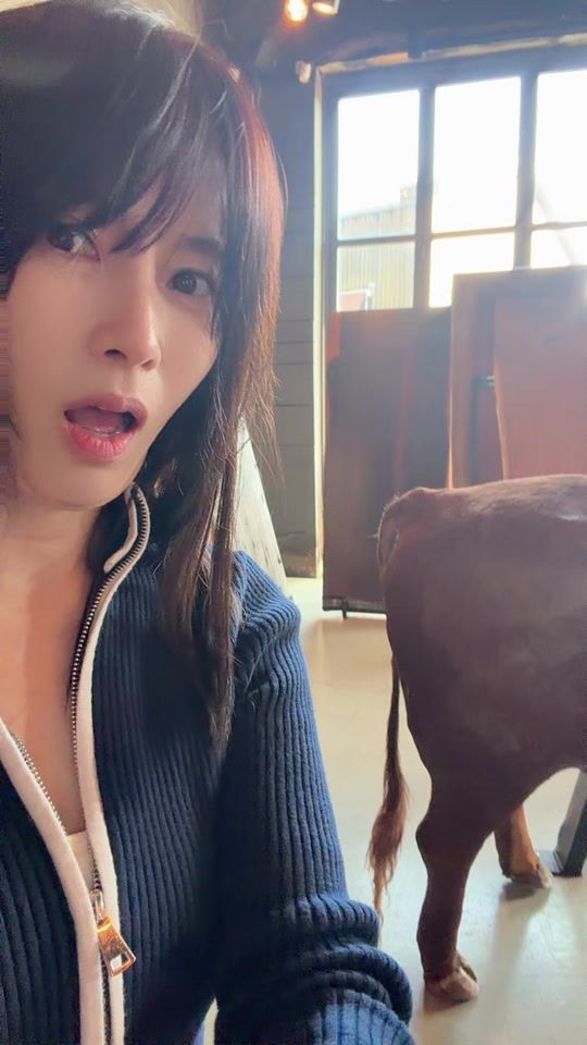 TikTok video thumbnail by jjun0501