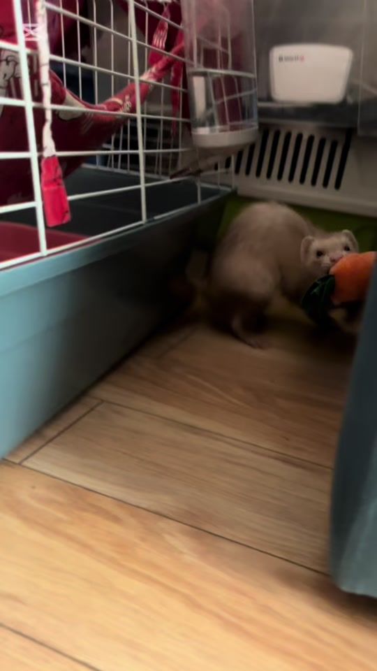TikTok video thumbnail by oksi.smir