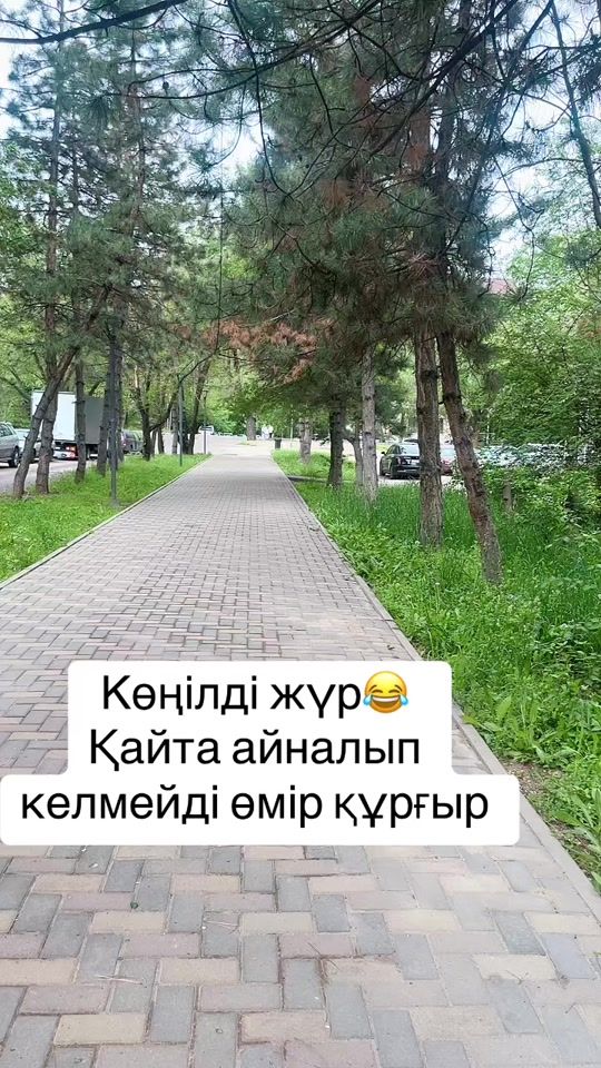 TikTok video thumbnail by jann_ara