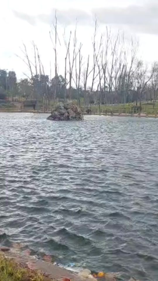 TikTok video thumbnail by viebelle025