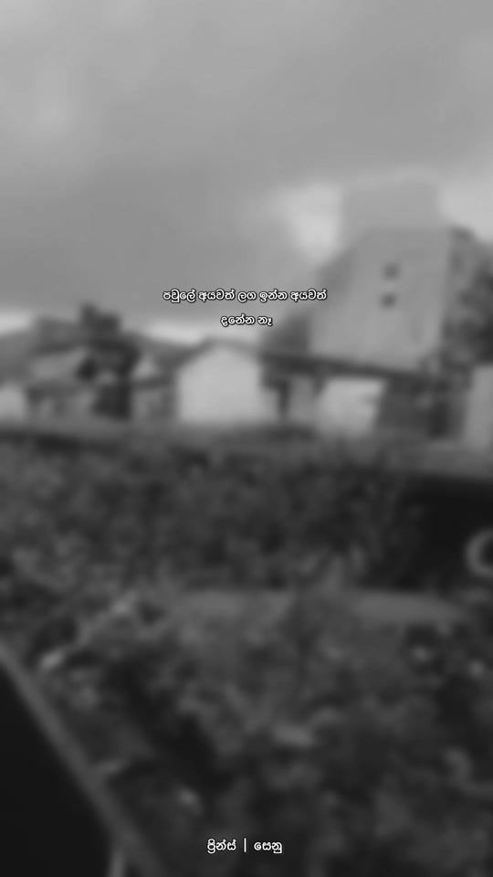 TikTok video thumbnail by _brothers_page_