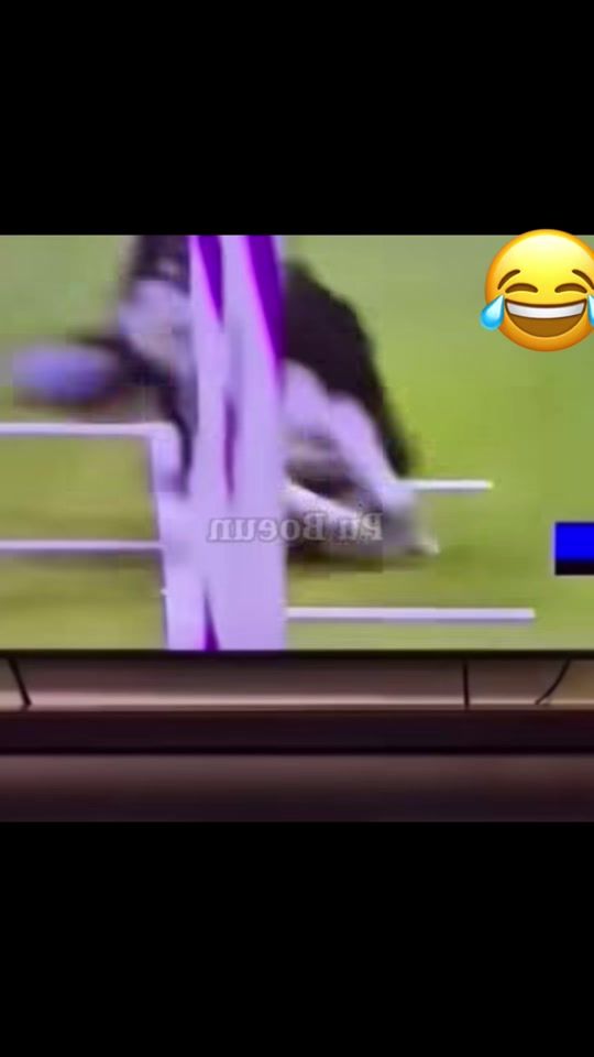 TikTok video thumbnail by pa.pa1979