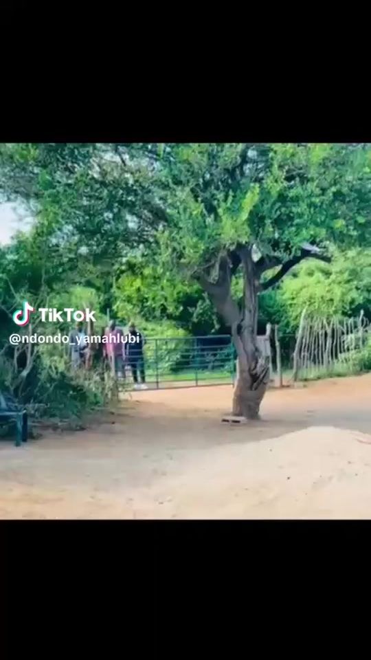 TikTok video thumbnail by memie606