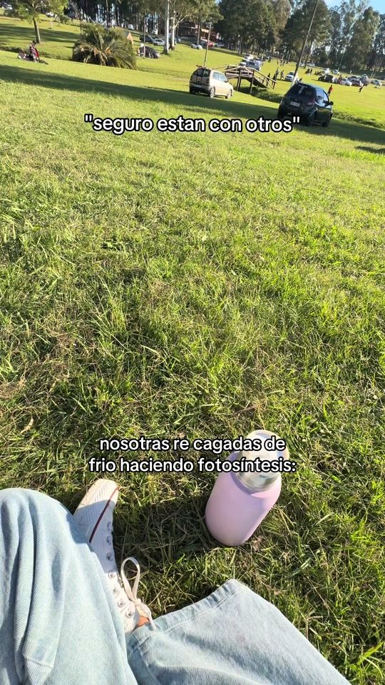 TikTok video thumbnail by arianaolveiraa