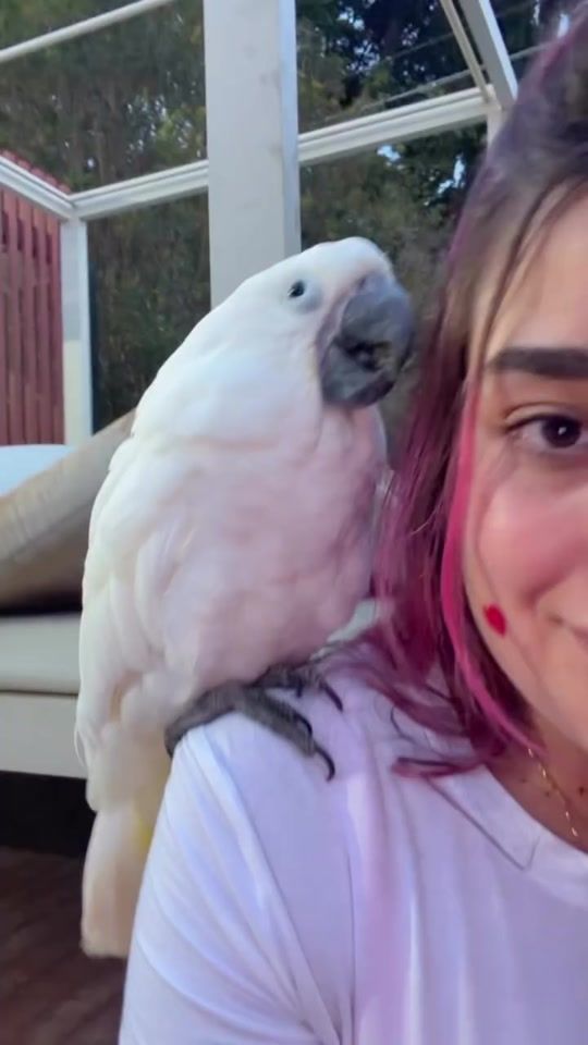 TikTok video thumbnail by isaama..emillyvick