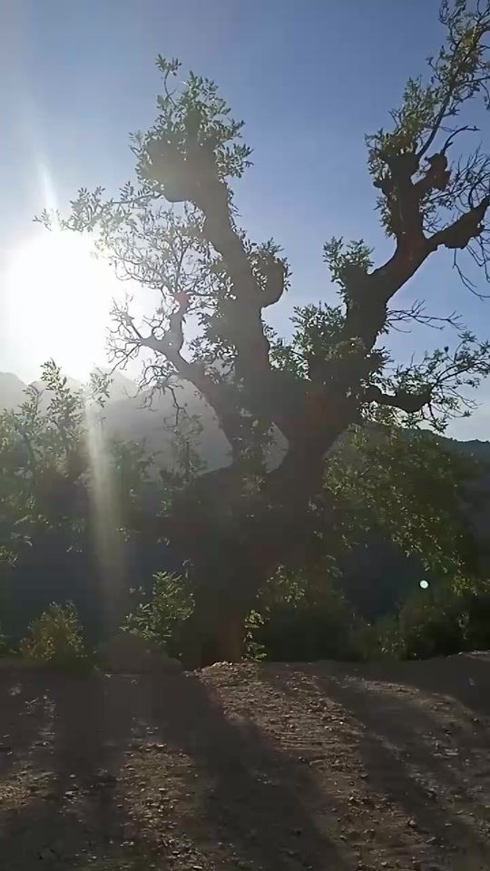 TikTok video thumbnail by nina84522