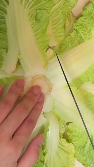 TikTok video thumbnail by tinaxlsk_