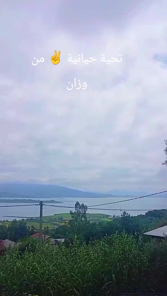TikTok video thumbnail by hakima.belfares
