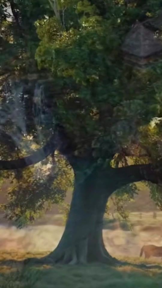 TikTok video thumbnail by mastewal_53