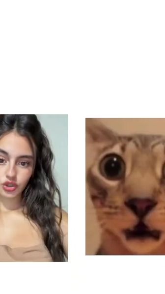 TikTok video thumbnail by esmeralda.fernand2173