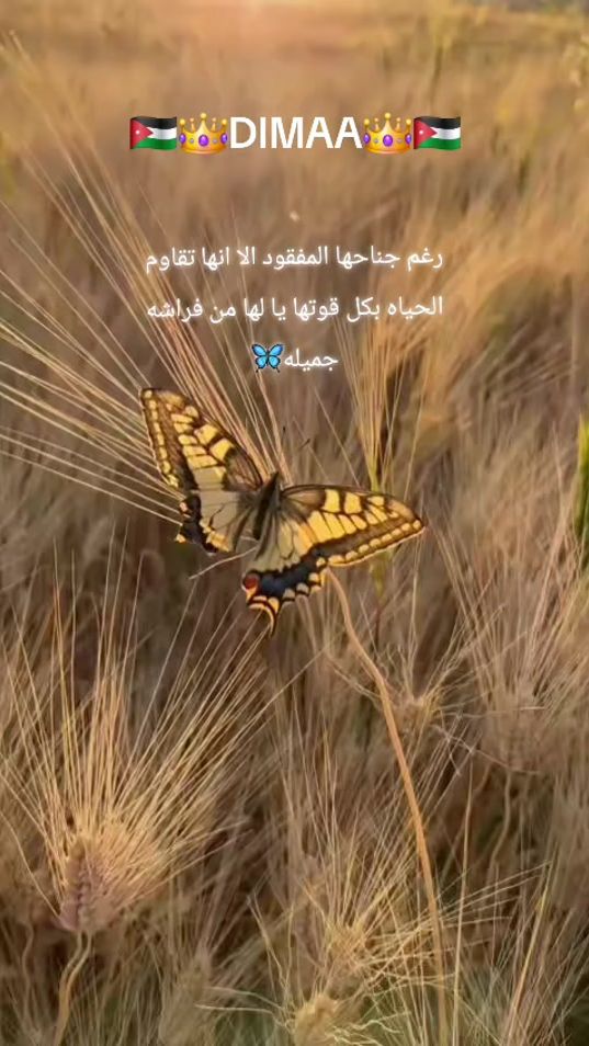 TikTok video thumbnail by di.maa.835