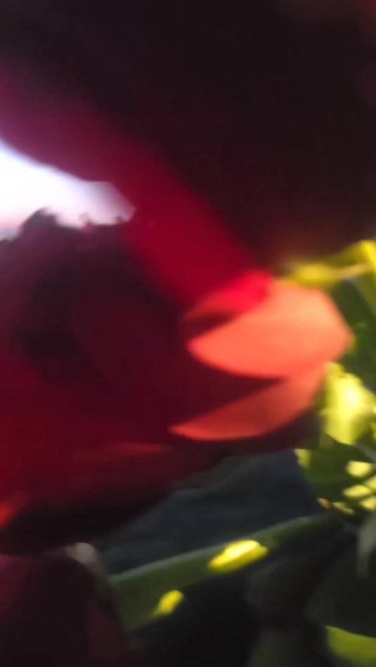 TikTok video thumbnail by the_gueen