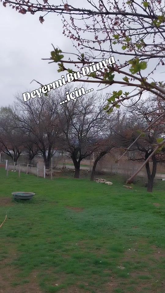 TikTok video thumbnail by nihalsahingoz66