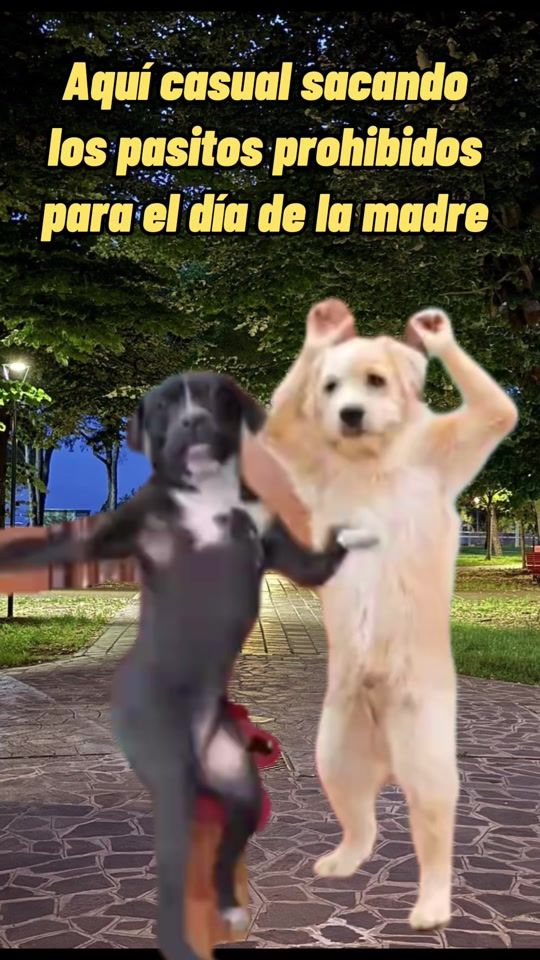 TikTok video thumbnail by amazona.2021