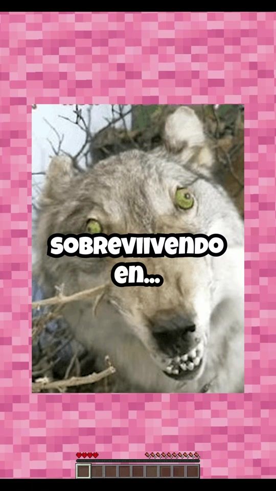 TikTok video thumbnail by edaesvila