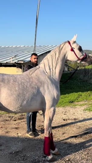 TikTok video thumbnail by adelkaadan1