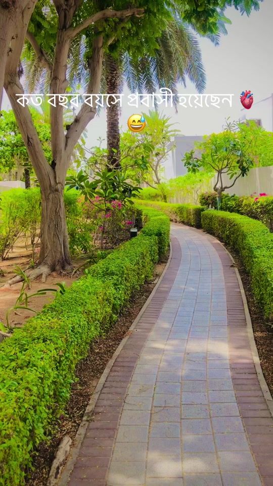 TikTok video thumbnail by ftc_alif