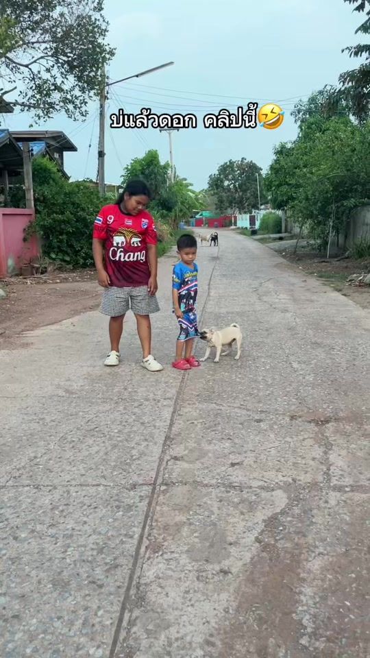 TikTok video thumbnail by tractor.t