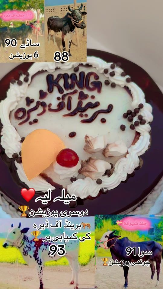 TikTok video thumbnail by dilawar..007