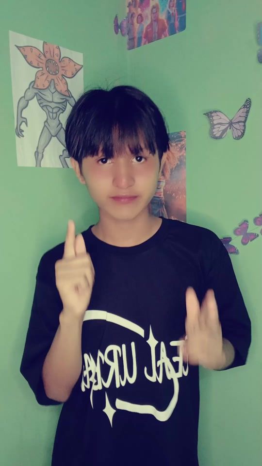 TikTok video thumbnail by louremberg3