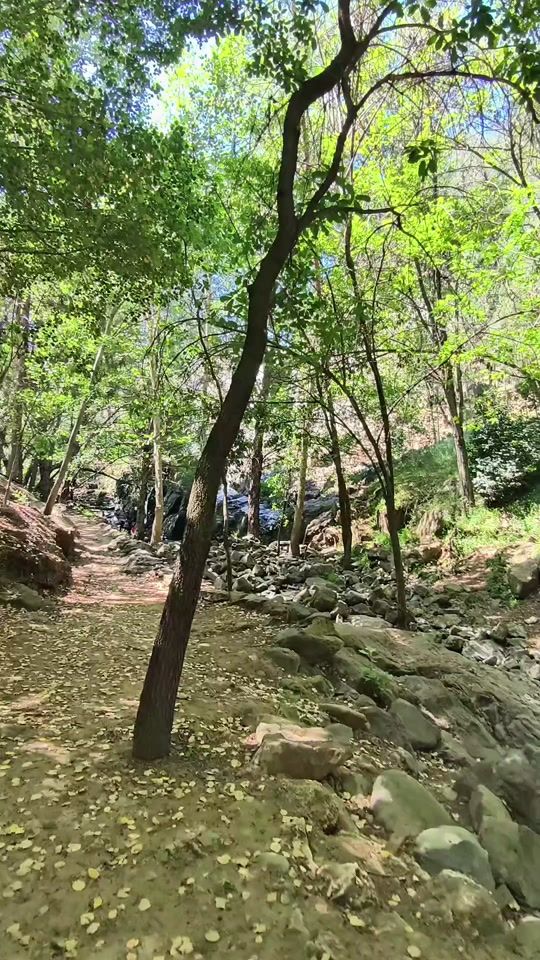 TikTok video thumbnail by heyitsemjay_17